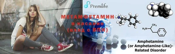 хмурый Аркадак