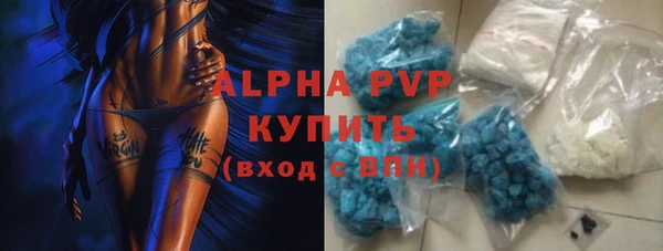 хмурый Аркадак