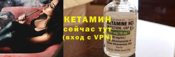 хмурый Аркадак