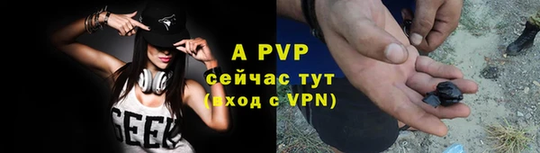 хмурый Аркадак