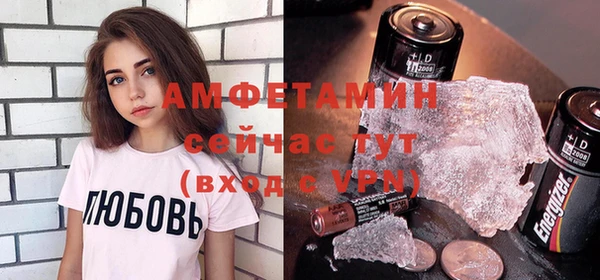 хмурый Аркадак