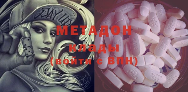 хмурый Аркадак