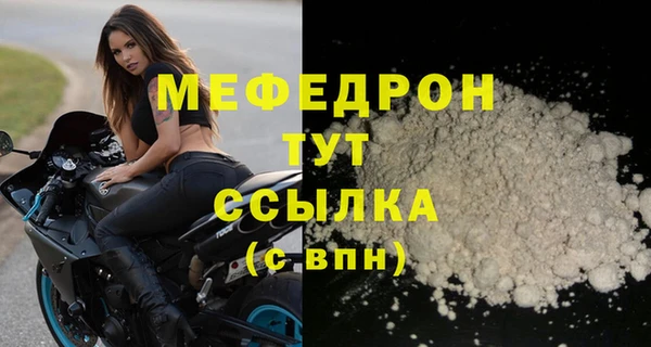 хмурый Аркадак