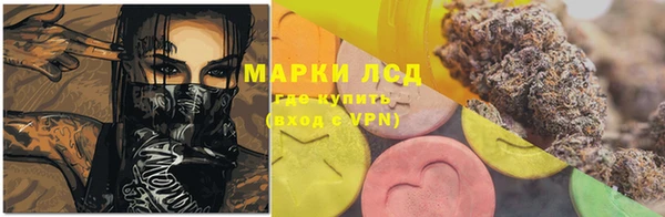 хмурый Аркадак