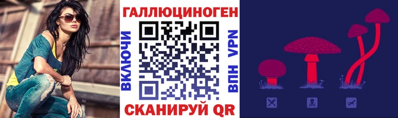 Галлюциногенные грибы прущие грибы  купить  цена  Сальск 